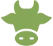 files/cow-head-green.webp