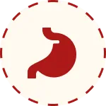 files/gut-icon.webp