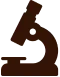 exp-icon